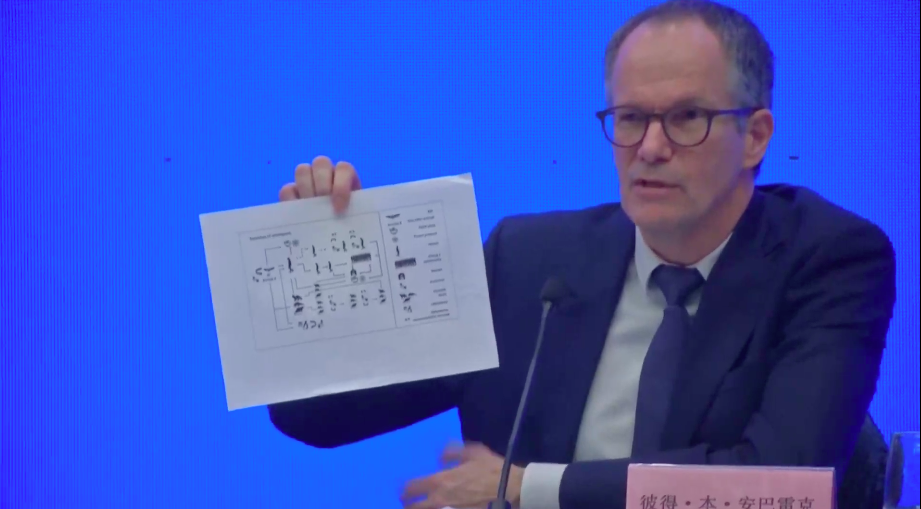 ▲WHO病毒調查小組專家恩巴雷克表示，小組設立了4個病毒源頭的假說，其中實驗室意外導致傳播的可能性極低。（圖／翻攝自WHO直播影片）