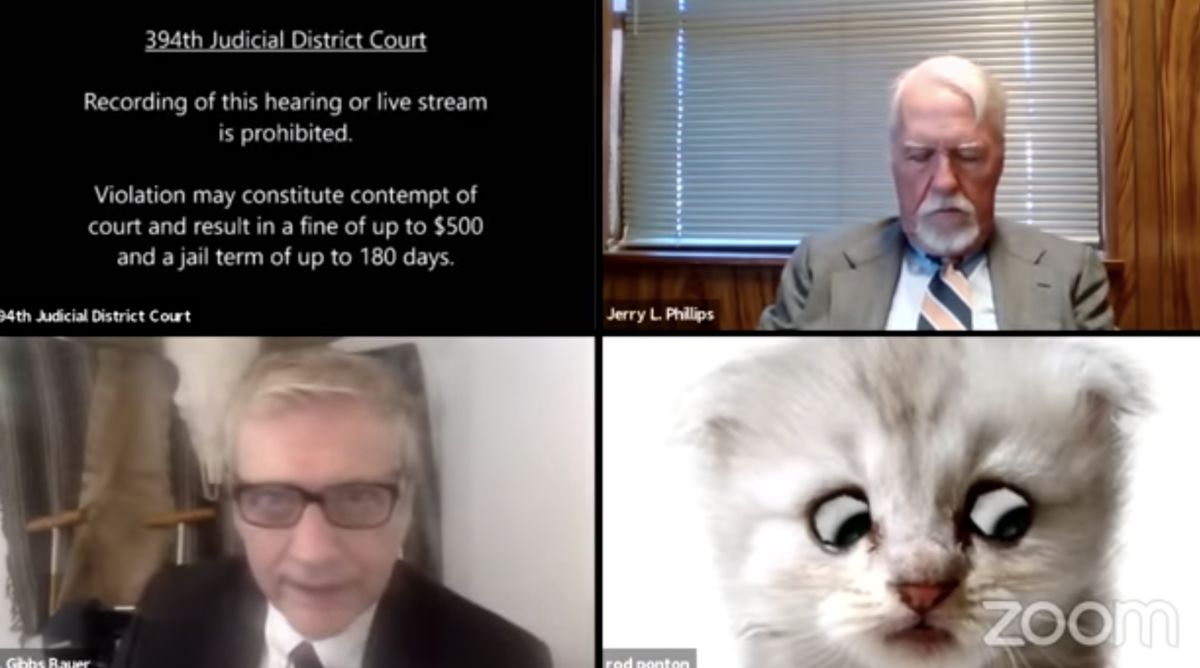 ▲美國一名律師誤按濾鏡，畫面上出現超萌貓咪面露委屈。（圖／翻攝Twitter）