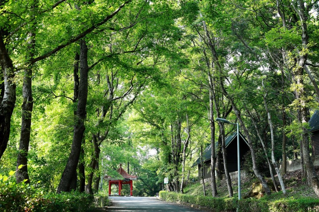 ▲東勢林場遊樂區(圖／觀旅局提供2021.2.11)