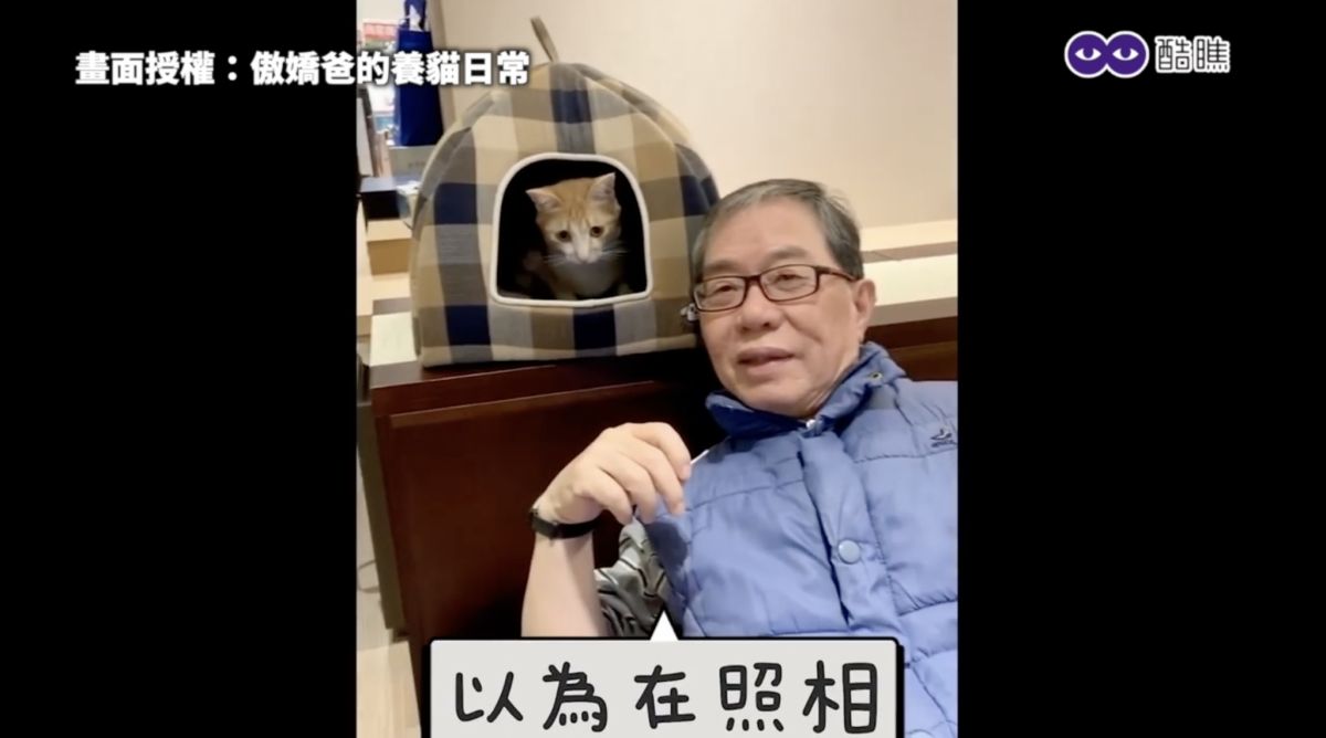 ▲ 幫傲嬌爸偷換毛孩桌布，讓「主子」潛移默化至爸爸生活之中。（圖／傲嬌爸的養貓日常 授權）