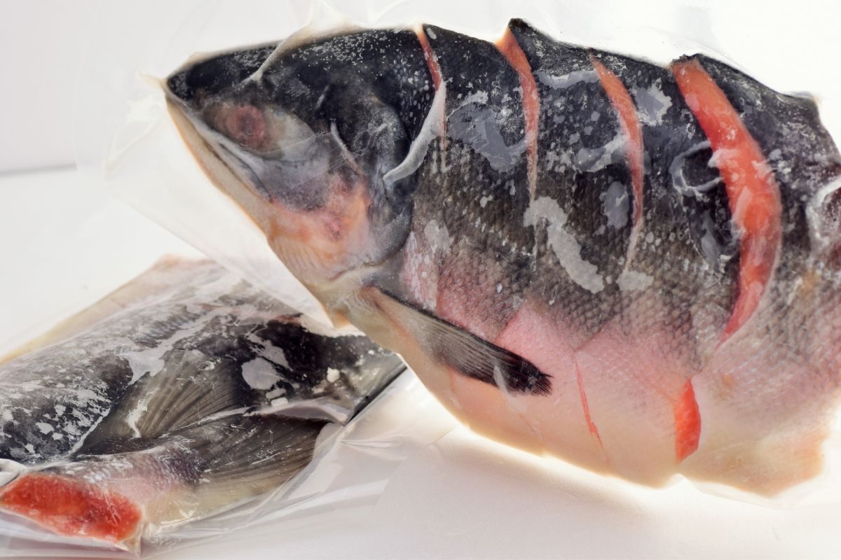 ▲不少人仍有「冷凍魚不新鮮」刻板印象。對此，專家也揭開真相。（示意圖／翻攝PhotoAC）