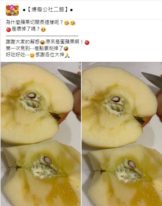 ▲有女網友切蘋果驚見「黃色紋路」,本以為壞掉想削掉,但內行網友一看卻制止,直呼「這是極品」。(圖/翻攝自臉書社團《爆廢公社二館》)