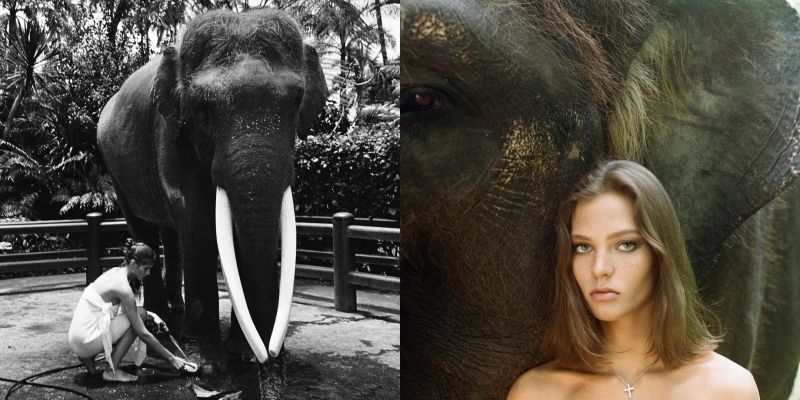 ▲俄羅斯模特兒卡菲妮柯娃日前上傳，自己全裸趴在瀕危的蘇門答臘象背上的影片，引發爭議。（圖／翻攝Alesya KafelnikovaIG）