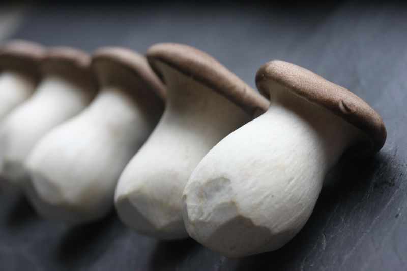 ▲杏鮑菇是一種常見的菌類美食，不僅味道鮮美，營養也相當豐富，其口感Q彈有嚼勁（示意圖／取自pixabay）