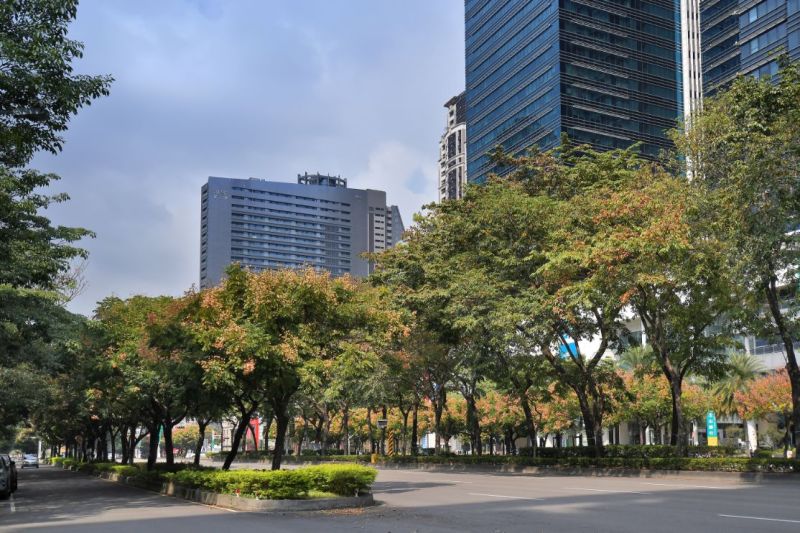 ▲「市政1號院」擁有正七期60米市政路大道首排的黃金門牌,是七期核心區域非常稀缺的精華地點。(圖/品牌提供)
