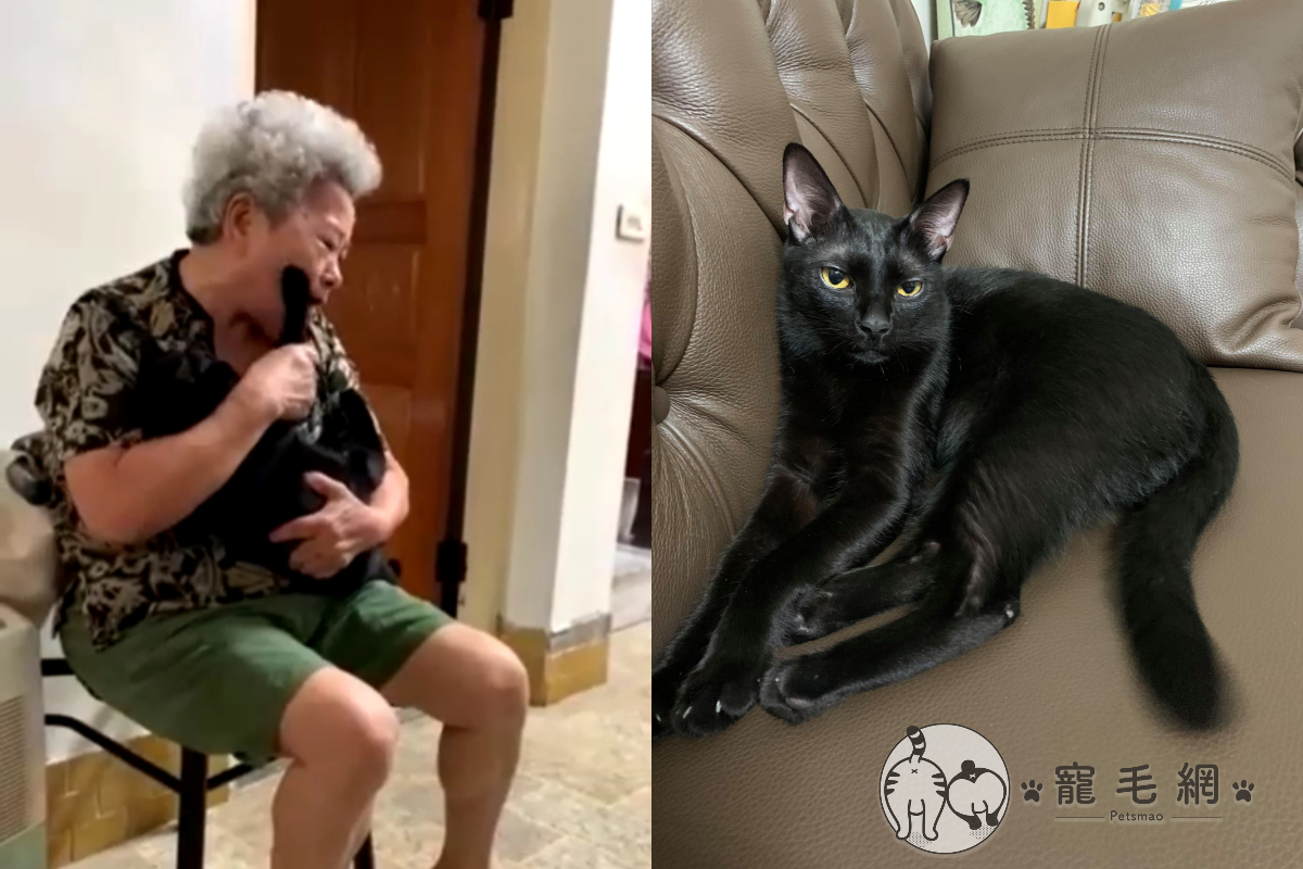 ▲阿嬤握貓手「啪啪啪」打自己臉，黑貓滿頭問號任擺布！（圖／網友劉秀君授權提供）