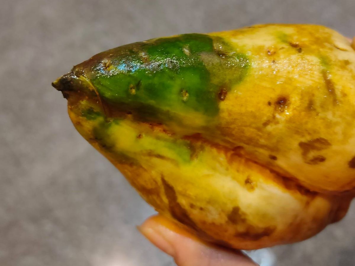 ▲有女網友指出，到全聯買了地瓜回家，沒想到一洗卻發現上頭的地瓜皮變成綠色。（圖／翻攝我愛全聯－好物老實說臉書）