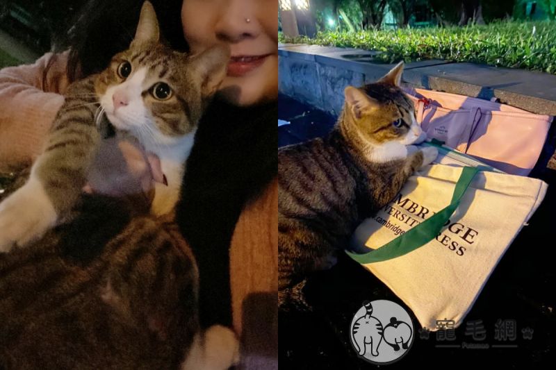 ▲餵這麼久才願意給摸給抱!(圖/網友Mina