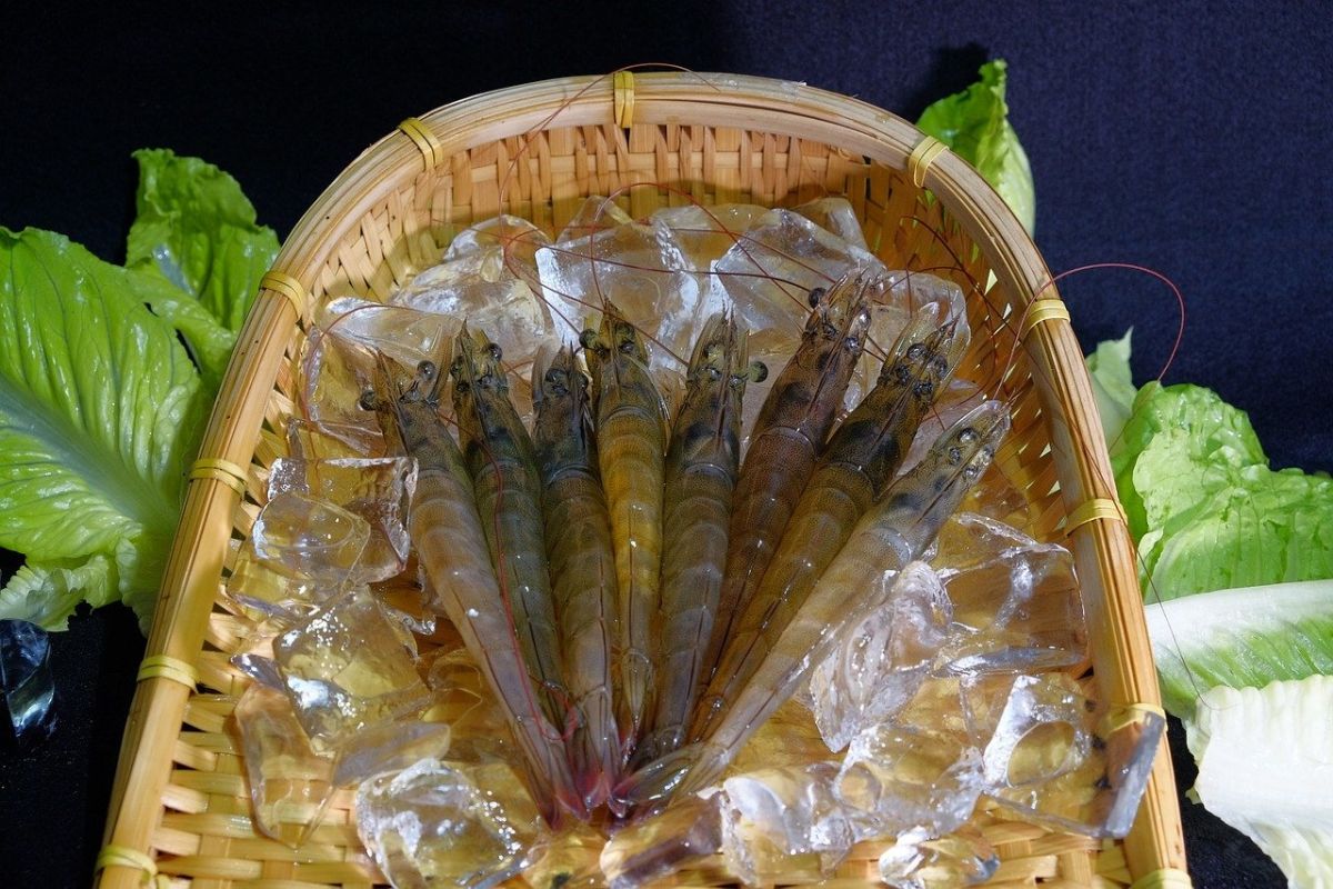 ▲究竟蝦子該怎麼挑選呢？專攻美食領域的搜狐號《華夏美食記》專欄就透露，「這三種蝦」最好不要買！（圖／取自pixabay）
