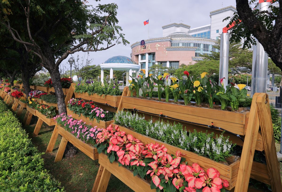 ▲市議會旁的植栽有紅有白，也有嫩黃及粉紫，愛花民眾請把握機會（圖／台南市議會提供）