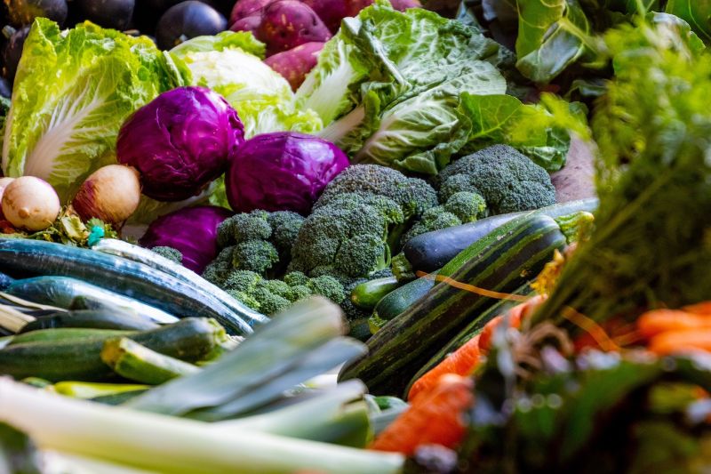 ▲蔬菜富含維生素與膳食纖維，是人類不可或缺的營養來源。（圖／翻攝pexels）