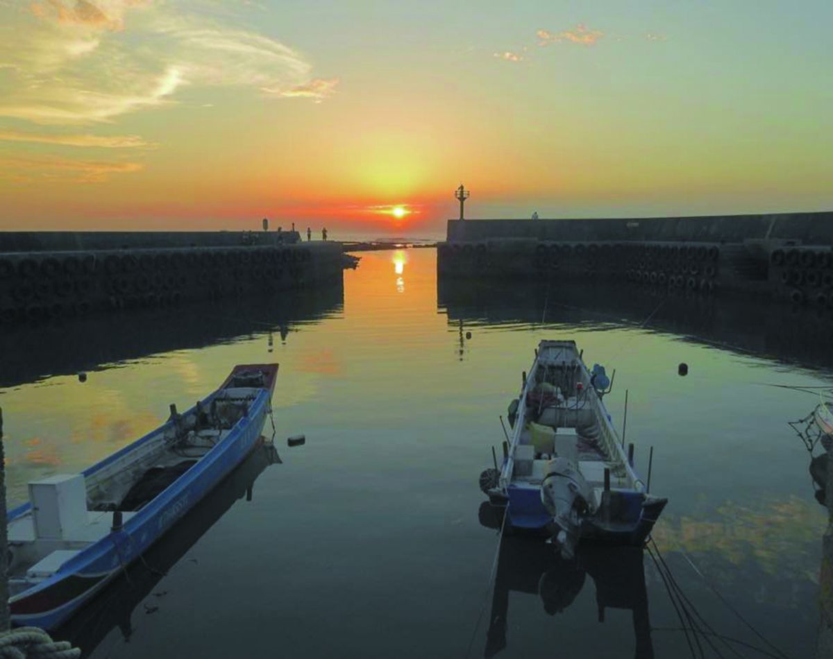 ▲淡水區屯山里不論看山、拍花、望海，處處都是打卡景點。（圖／新北市政府民政局提供）