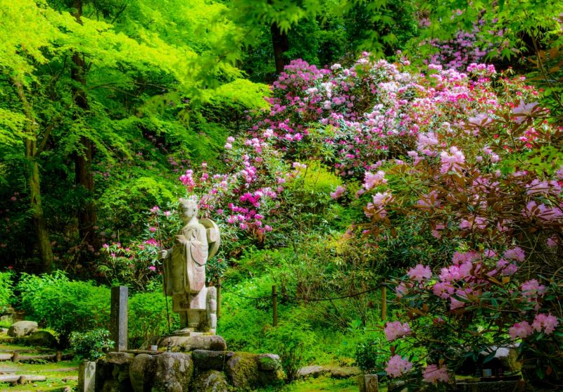 ▲岡寺主要供奉的如意輪觀音坐像高4.6公尺,是日本最大的塑像。(圖/資料照片)