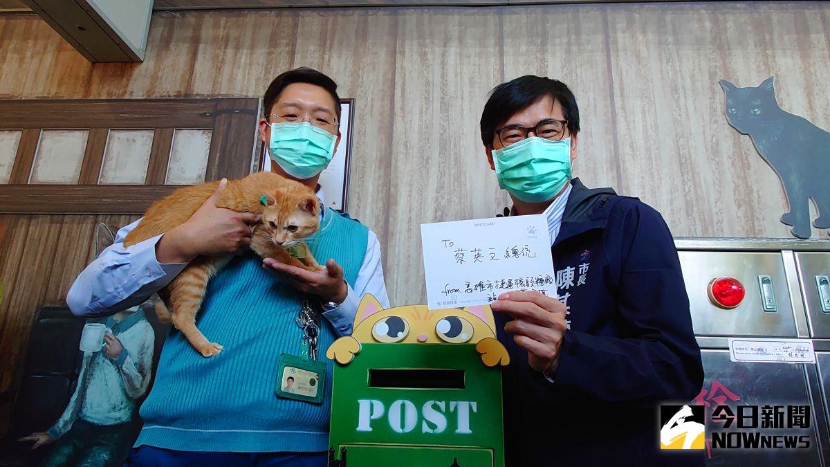 ▲高雄市長陳其邁寄明信片給同是貓奴的總統蔡英文，邀她下次一起來看貓站長「蜜柑」。（圖／記者鄭婷襄攝，2021.02.25）