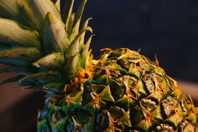 ▲中國大陸國台辦26日稱,台灣銷往中國的鳳梨查出含有介殼蟲,將從3月開始禁止進口,消息引發台灣各界關注。(圖/翻攝自《Pixabay》)
