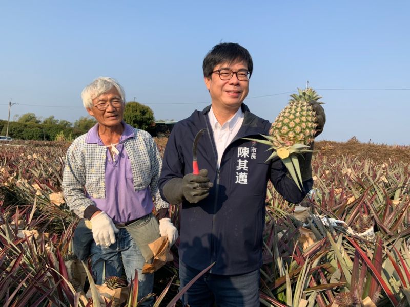 ▲高雄市長陳其邁對於中國大陸片面宣布停止台灣鳳梨出口,認為這在國際貿易的常規並不是友善做法,高市府將對鳳梨農民啟動輔導跟補助,並擴大海外跟國內市場因應。(圖/高市府提供)