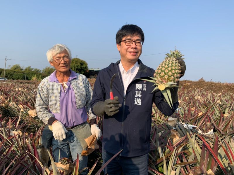 ▲高雄市長陳其邁對於中國大陸片面宣布停止台灣鳳梨出口，認為這在國際貿易的常規並不是友善做法，高市府將對鳳梨農民啟動輔導跟補助，並擴大海外跟國內市場因應。（圖／高市府提供）