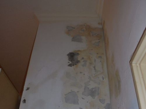 ▲氯離子含量高的房屋初期會有壁癌、白華等情形。（圖／NOWnews資料照片）