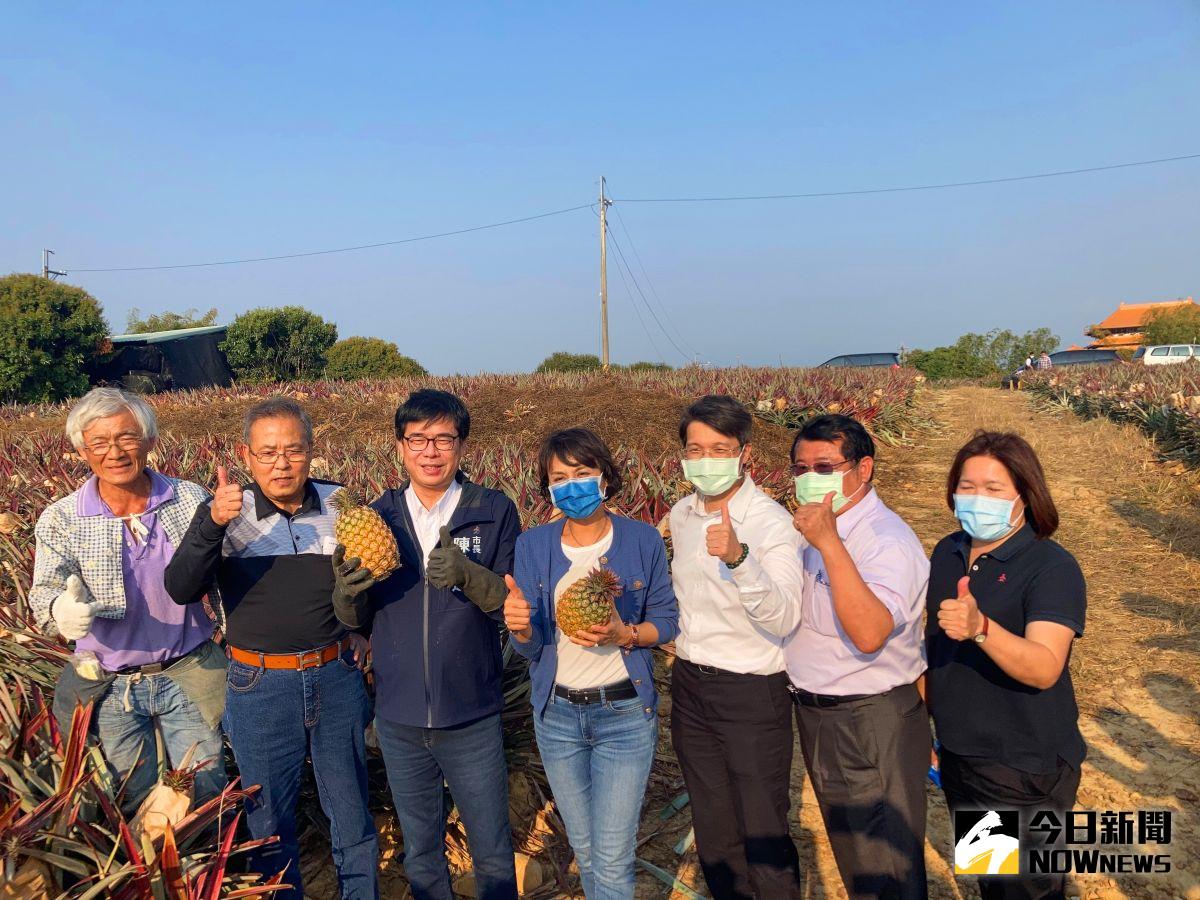 ▲高雄市長陳其邁今日到大樹鳳梨田慰問農民辛勞，並會同立委邱議瑩及大樹區農會張清榮總幹事等人在農會簽訂鳳梨輸澳洲合約。（圖／記者鄭婷襄攝，2021.02.26）