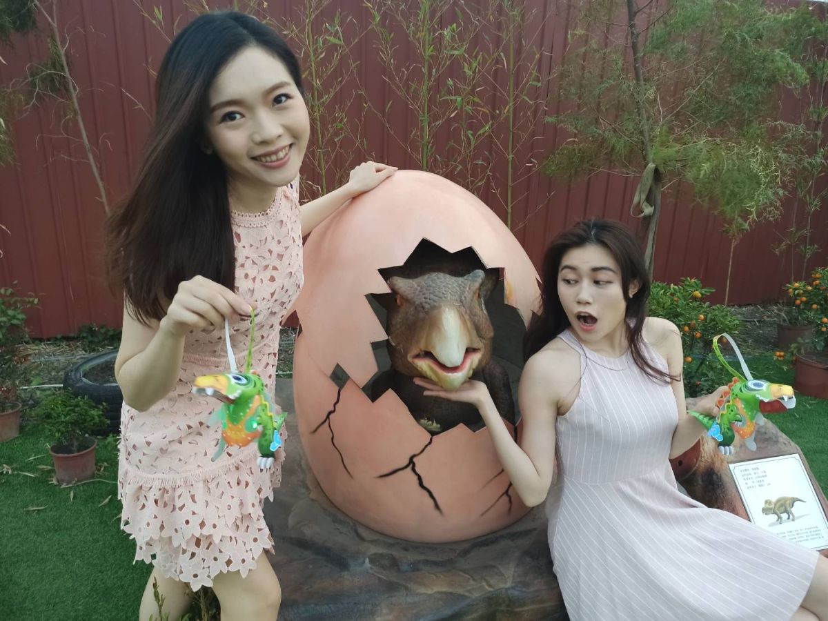 ▲正在草屯草鞋墩人文觀光夜市舉辦的戶外恐龍展，各類經典恐龍全到齊，台灣小姐王慧萍及李芷儀也樂翻了。（圖／主辦單位提供）
