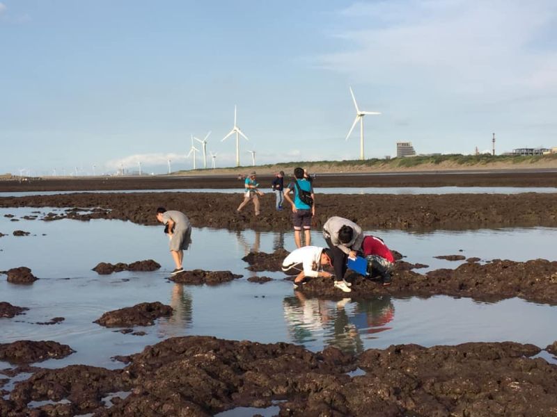 ▲環保團體發起的「搶救藻礁」公投第二階段連署通過。（圖／翻攝自「珍愛桃園藻礁」臉書）