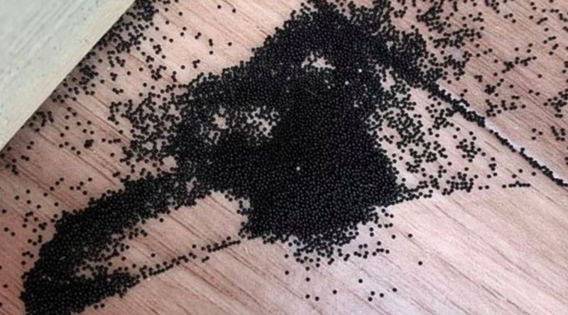 ▲一名母親在打掃孩子玩具房時，發現地板有一攤「黑珍珠」。（圖／reddit討論區）