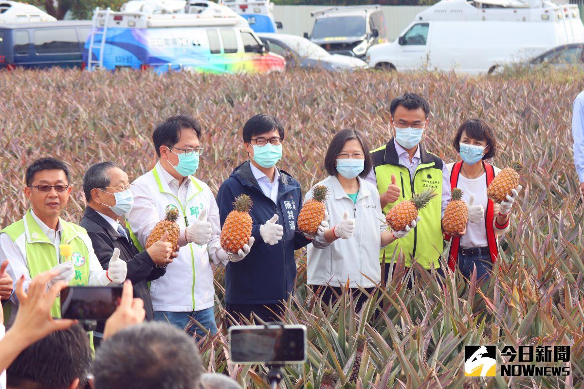 ▲總統蔡英文、高雄市長陳其邁，農委會主委陳吉仲，以及立委邱議瑩、許智傑、邱志偉等人一同到大樹鳳梨田替農民打氣。（圖／記者鄭婷襄攝，2021.02.28）