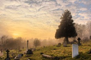▲近年來選擇土葬的民眾逐漸變少，但也有部分長輩堅持要被厚葬。（圖／翻攝Pexels）
