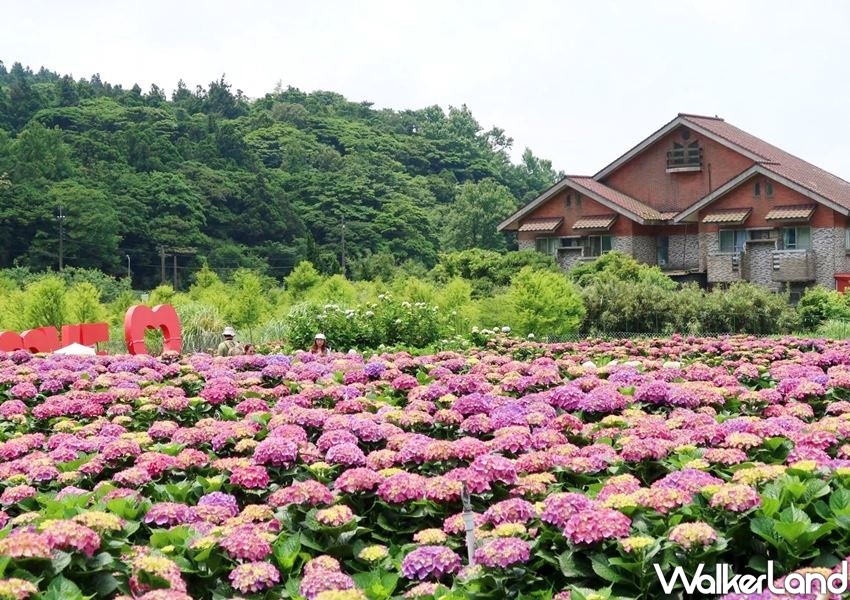 ▲當地的觀光農場每年都絞盡腦汁、拚創意推出吸睛的打卡造景。（圖／WalkerLand）