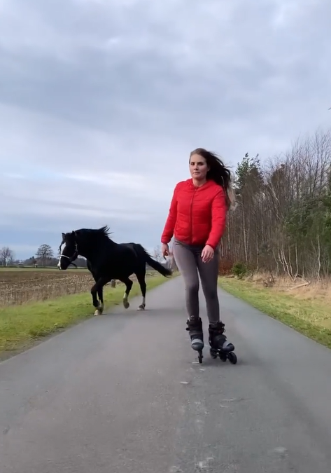 女子開始滑起直排輪，馬在後頭看到了！（圖／Instagram＠vandiego.rico）