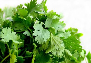 便秘超苦惱!「蘋果、香菜」有助軟便排出 吃太油靠蘿蔔救急解膩