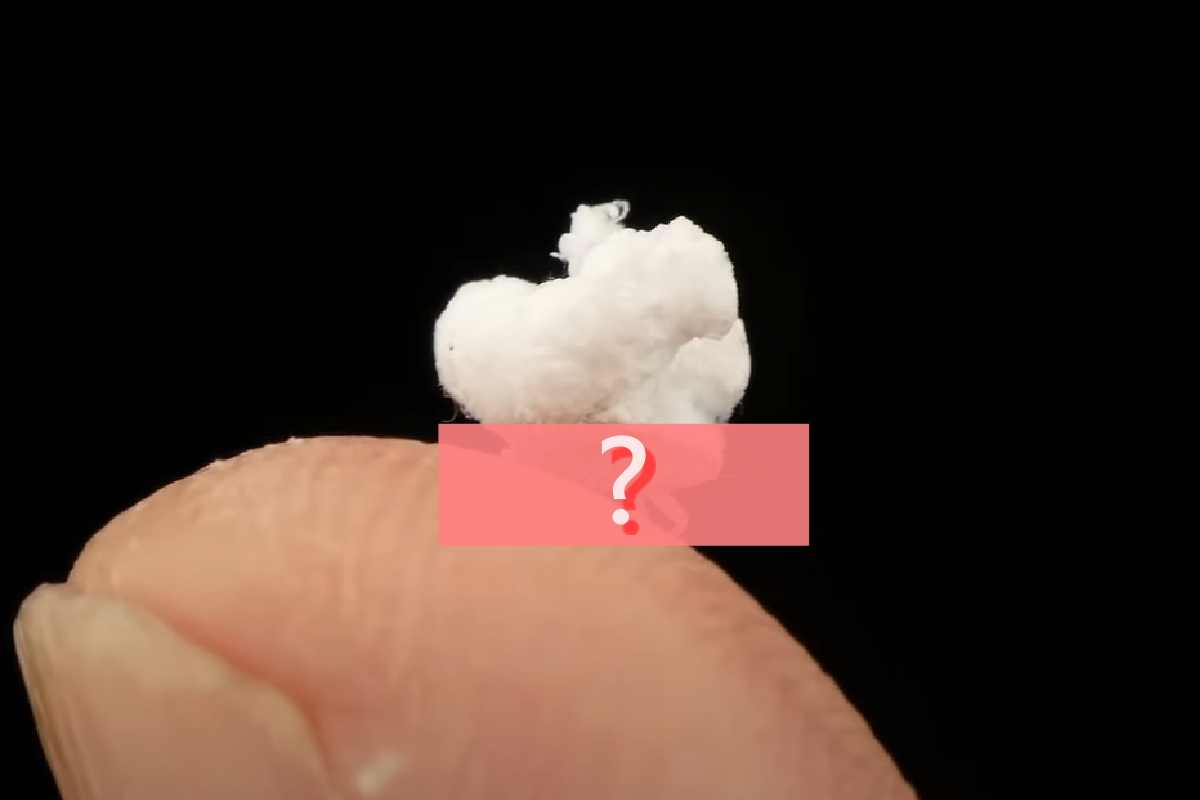 ▲爆米花長腳跑掉了？神祕生物「長成一朵白雲」奔走超可愛。（圖／Youtube＠Andreas Kay）