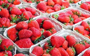 ▲現在正是草莓的盛產季節，不少人都會到果園採草莓或是到商場購買來吃。（示意圖／取自unsplash）