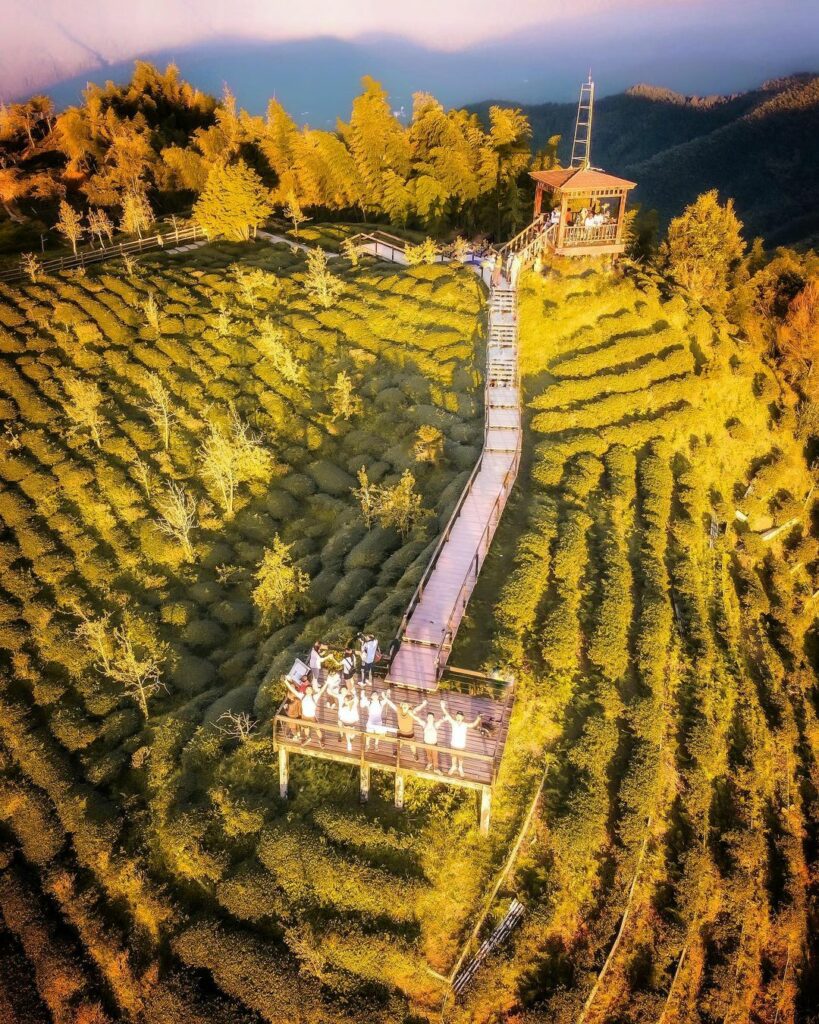 ▲銀杏森林 ｜Ginko Forest (Courtesy of @taki788778/Instagram)