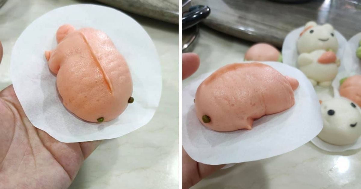 ▲The “goldfish” had swelled into a blob, rendering it into a pink creature with a stumped tail and two protruding black beads as its eyes. (Photo courtesy of PeiFoon Sim/Facebook)