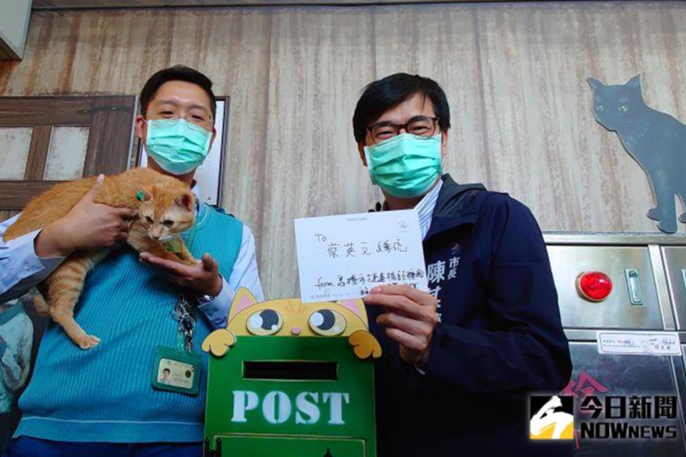 陳其邁、貓站長「蜜柑」相見歡　寄信要蔡總統一起來
