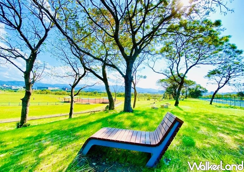 ▲也新增五張躺椅讓人躺著拍出絕美的藍天白雲、具有張力感的樹木的美照。（圖／WalkerLand）