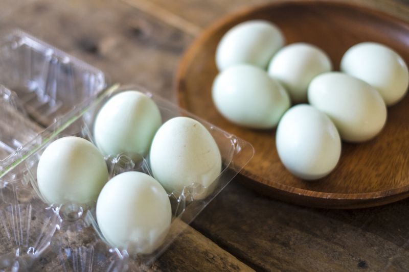 ▲雞蛋營養價值高，許多人喜歡早晨吃一顆水煮蛋來補充蛋白質，簡單又美味。（示意圖／翻攝自《PhotoAC》）