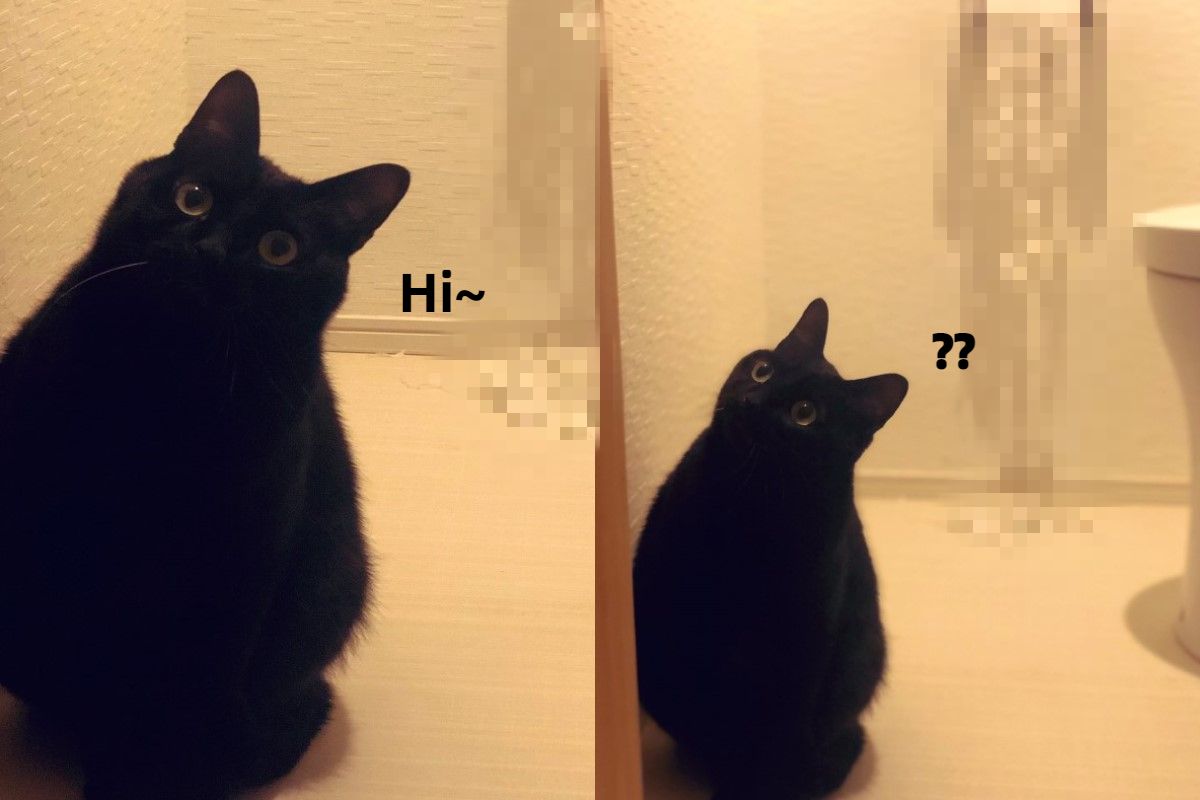 推主回家時看見黑貓睜大雙眼看著自己（圖／twitter@nkknrk）