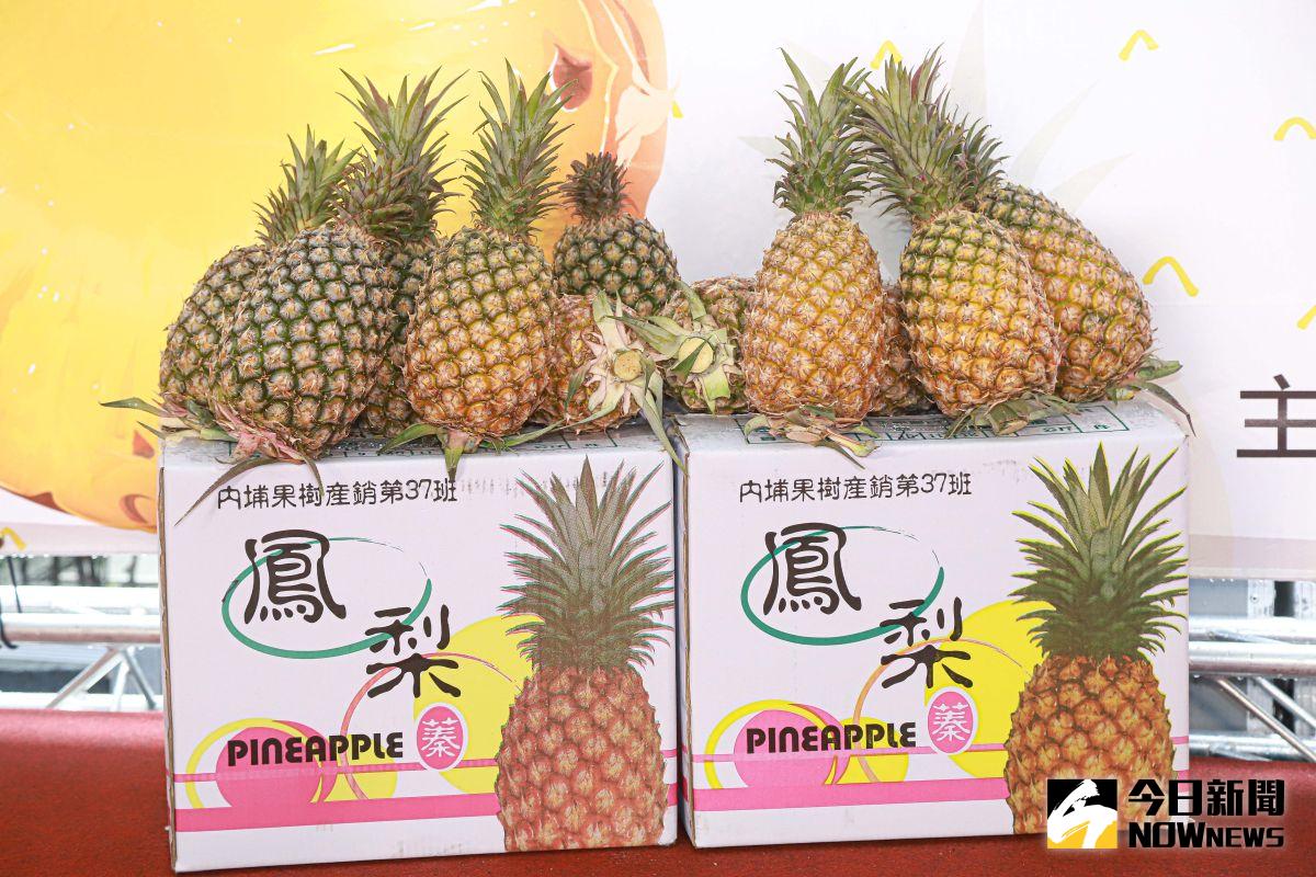 ▲台灣農產鳳梨近日突然遭到中國封殺，禁止進口到中國，為彌補農民的損失，國內湧現吃鳳梨、挺鳳梨農風潮。（圖／記者葉政勳攝 , 2021.03.02）