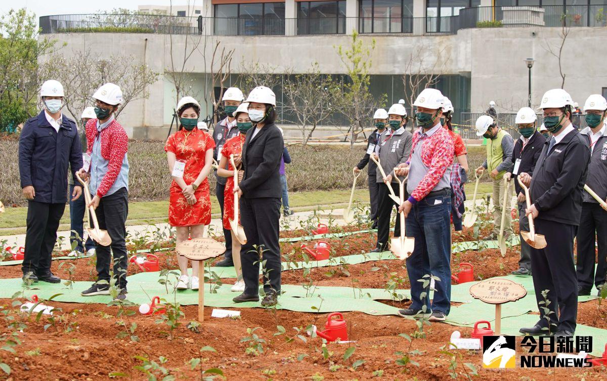 ▲蔡英文與鄭文燦等人在園區種下茶樹苗，期許其成為台灣茶產業的典範。（圖／記者李春台攝，2021.03.04）