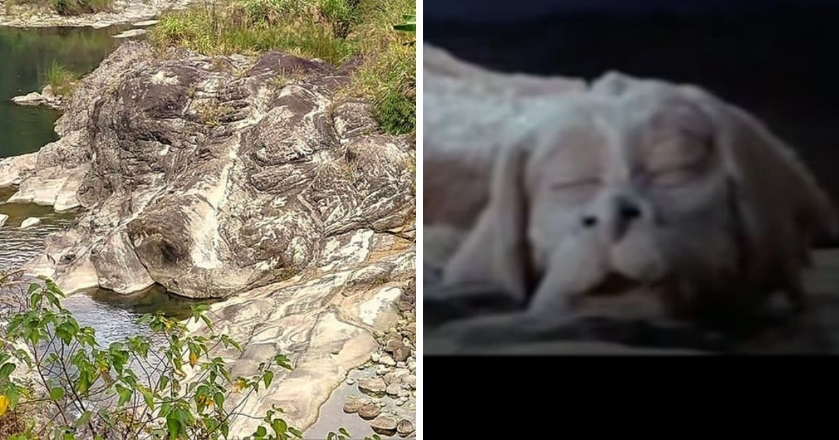 ▲外國網友大讚台灣狗頭岩非常像1984年德國經典奇幻冒險電影《大魔域》中的幸運龍Falkor。圖／愛天樂提供（左）、擷取自YouTube（右）