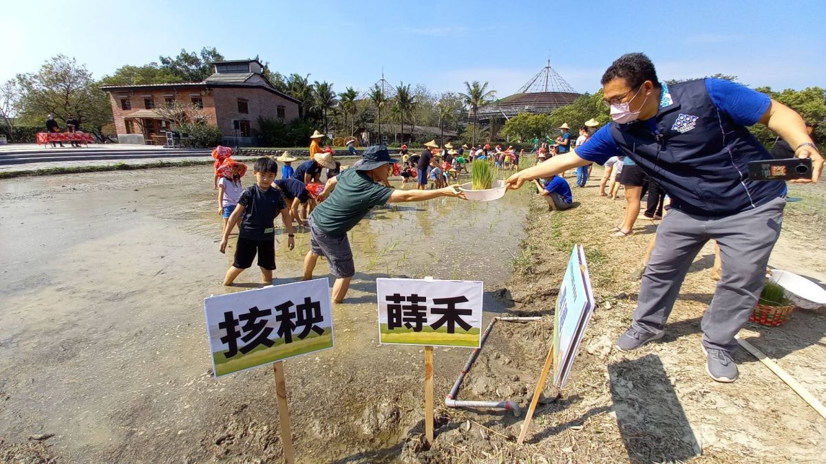 ▲客家委員會客家文化發展中心所轄六堆園區的田園地景區，於今天辦理㧡秧蒔禾感受先民農耕的辛苦，透過㧡秧蒔禾體驗活動喚醒傳統記憶的保存。(圖／客發中心六堆園區提供)