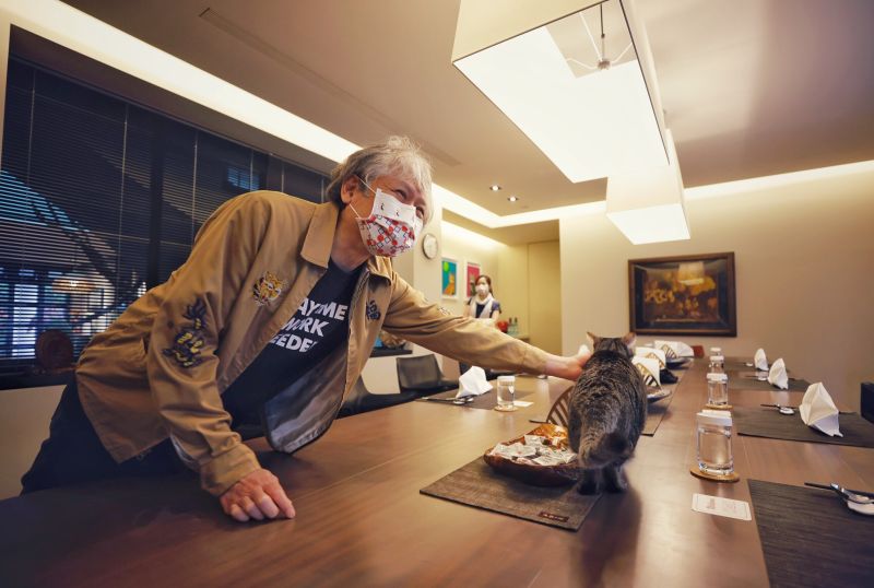 ▲奈良美智8日在總統官邸與蔡英文共進早餐,並和蔡英文的愛貓蔡想想合影。(圖/文化總會提供)