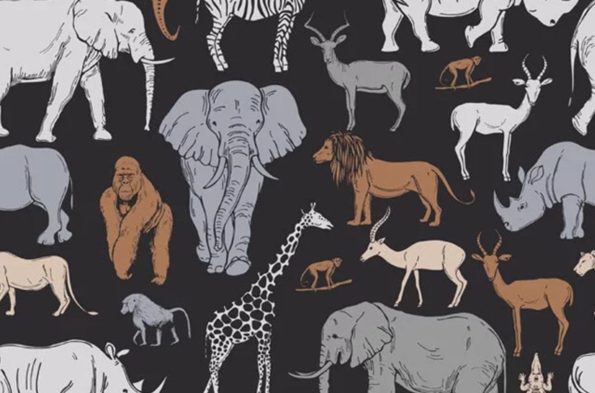 ▲第一眼先看到哪個動物？測你嚮往哪種「婚姻生活」。（圖／翻攝自《香港01》）