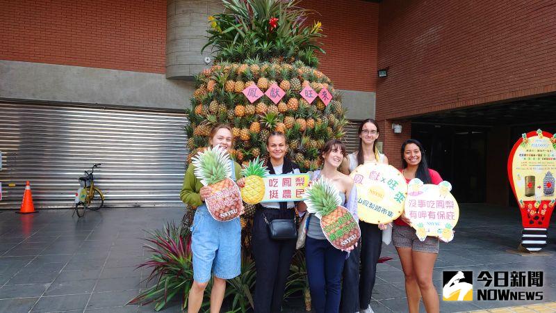 中山大學出現鳳梨市集　巨型鳳梨裝置藝術打卡挺農民
