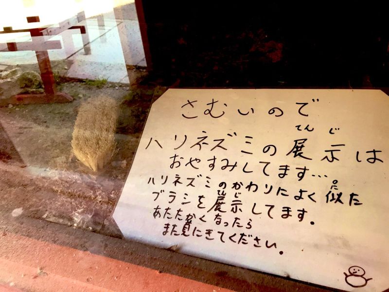▲日本網友去動物園參觀時，發現園方展示刷子來代替刺蝟，讓大家全笑翻。（圖／翻攝自@popoyo_pyn的推特）