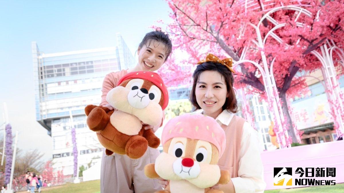 ▲「迪士尼粉萌野餐日」規劃兩大主題，現場還打造10米高櫻花樹舞台。（圖／記者陳美嘉攝，2021.03.11）