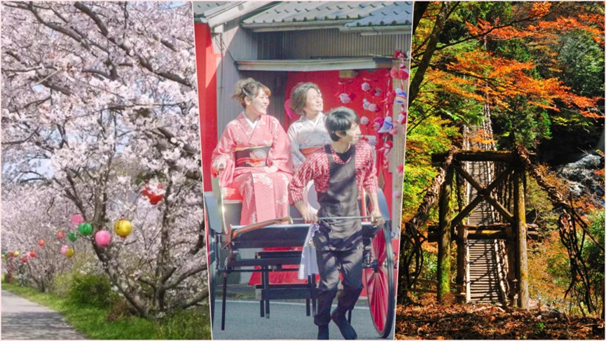 ▲日本四國德島私房景點大公開，連在地人都大推。（圖／公關照片）