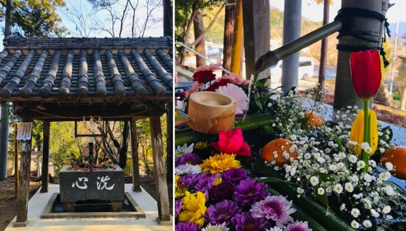 ▲八幡神社供奉八蕃,水舍中,因放入當季盛開的花朵成為IG熱門美照主題之一。(圖/公關照片)